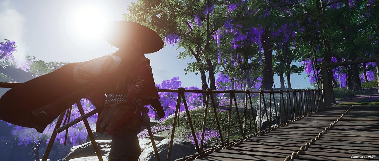PS5 Ghost of Tsushima Directors Cut (R3)